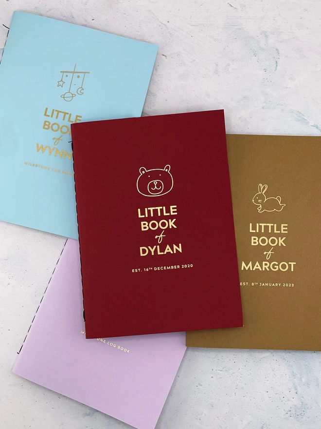 four colourful pocket notebooks that say "little book of dylan" and other children's name. Each book has a different illustration on the front.