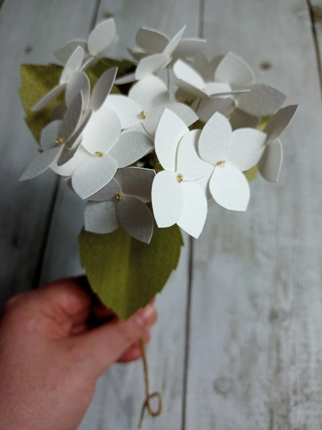 handmade paper flower of white hydrangea