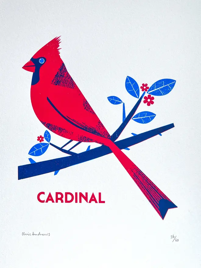 illustrated cardinal print. 