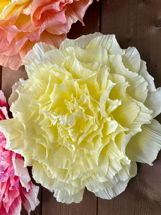 Crepe wall paper flowers