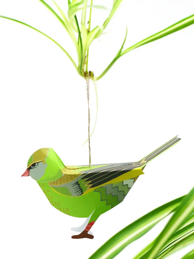 Card With 3D Greenfinch Ornament