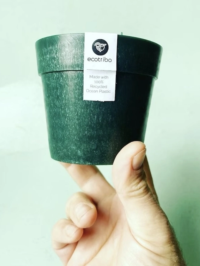 Small Green Ocean Plastic Plant Pot, a person holding a green recycled plant pot against a colourful backdrop. 