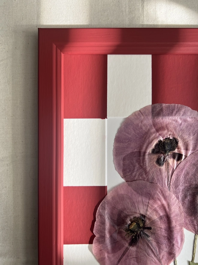 close up of top left corner of frame
