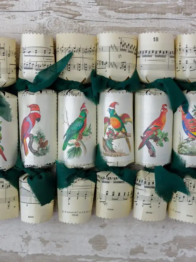 Christmas Parrot Crackers (Set Of 20)