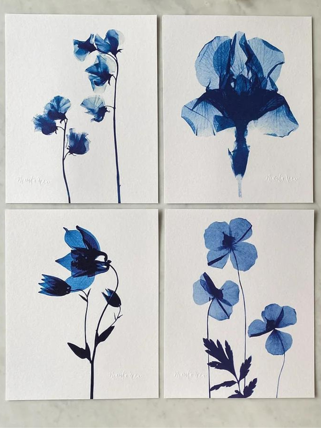 Sweet Pea Flower Botanical X-ray Print by Marita Wai 
