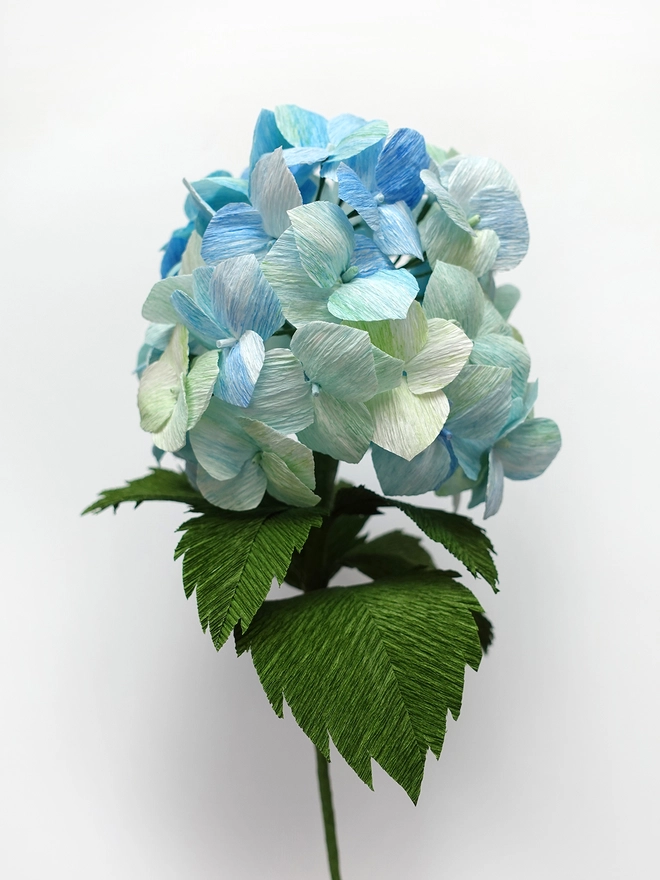 Crepe Paper Hydrangea DIY Kit