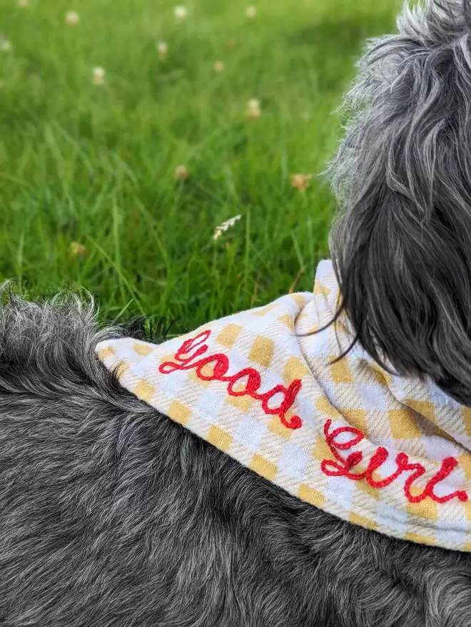 Yellow & White checkered dog bandana worn by a small black and grey Dog, personalised with red embroidery thread reading 'Good Girl' on a green grass background. Close-up detail