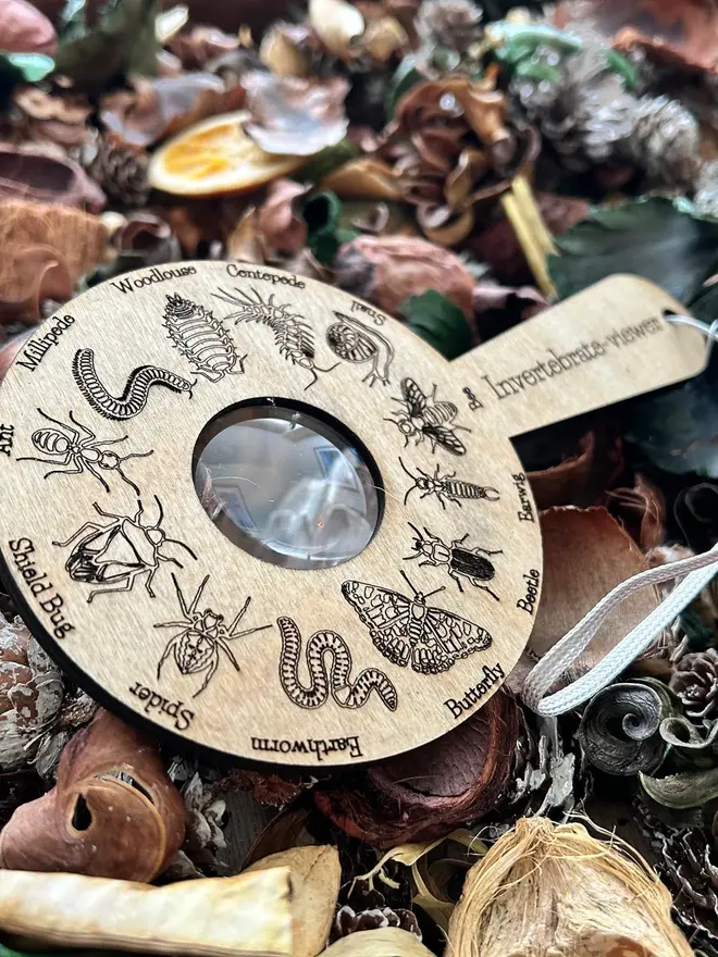  Birch wood bug identification magnifier engraved with detailed bug illustrations, displayed on forest floor materials.