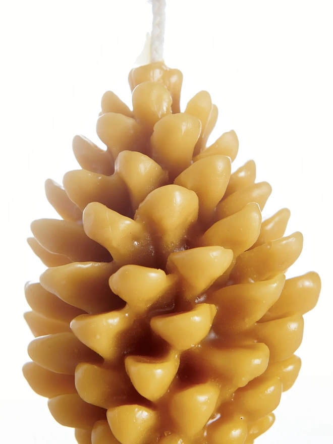 100% Pure Beeswax Pine Cone Candle