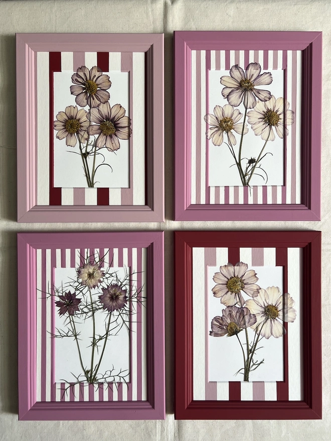 four painted frames with pressed flowers and stripe mounts