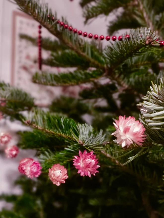 festive dried flower bud garland. pink dried flower garland hung on christmas tree.