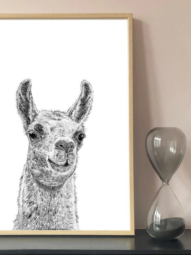Art print of a hand drawn llama displayed in a frame