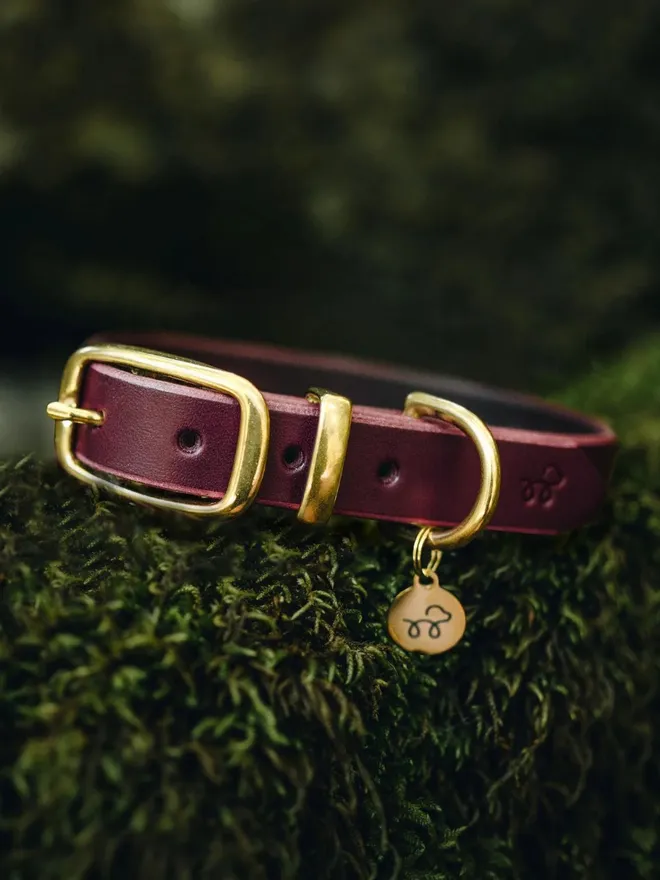 Leather Dog Collar