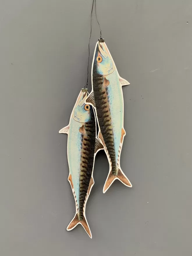 A sculptural wall hanging of two paper cut mackerel fish against a grey painted wall