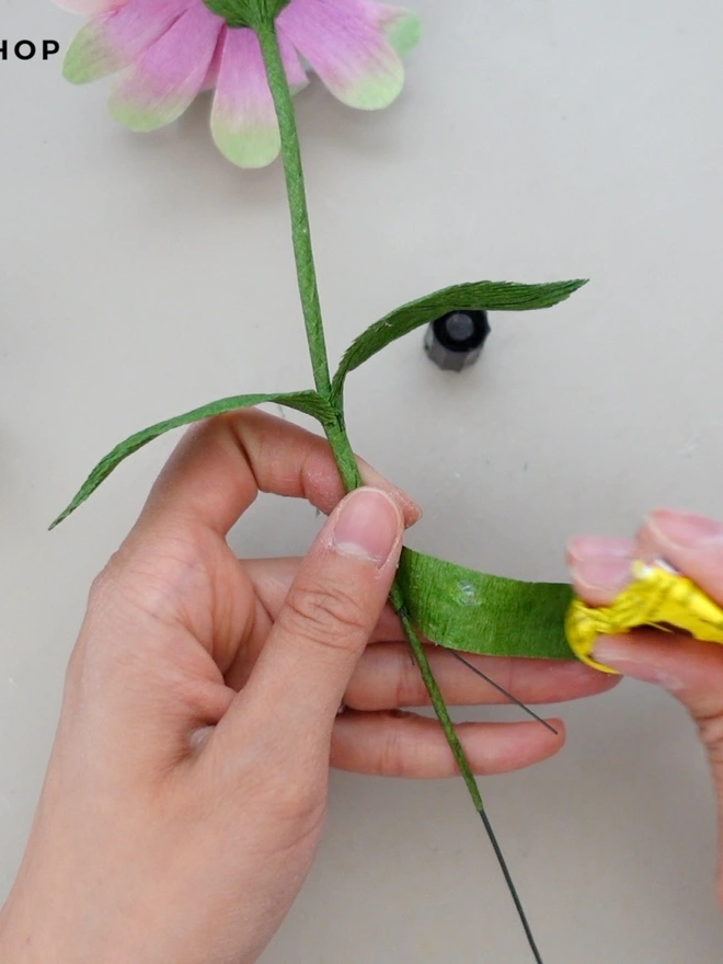 Making of Crepe Paper Zinnia in Queen Lime Blush