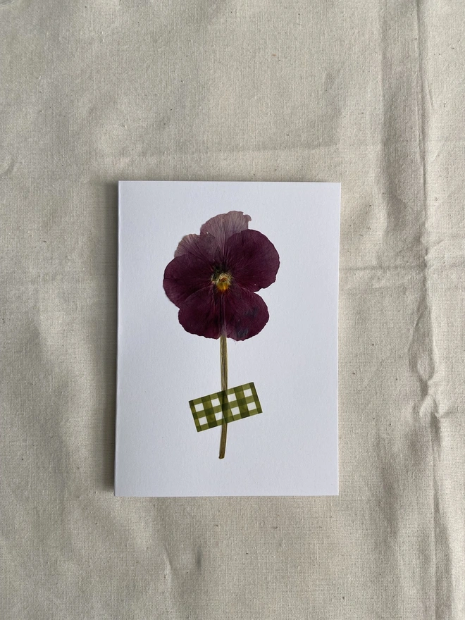 White greeting card with pressed pink pansy flower and green gingham washi tape