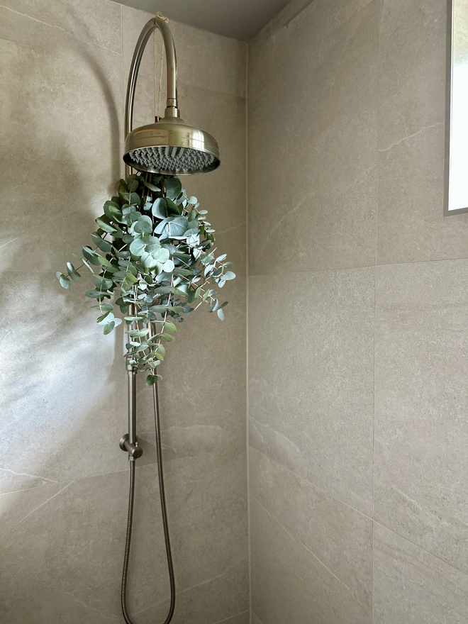 Eucalyptus hanging in the shower