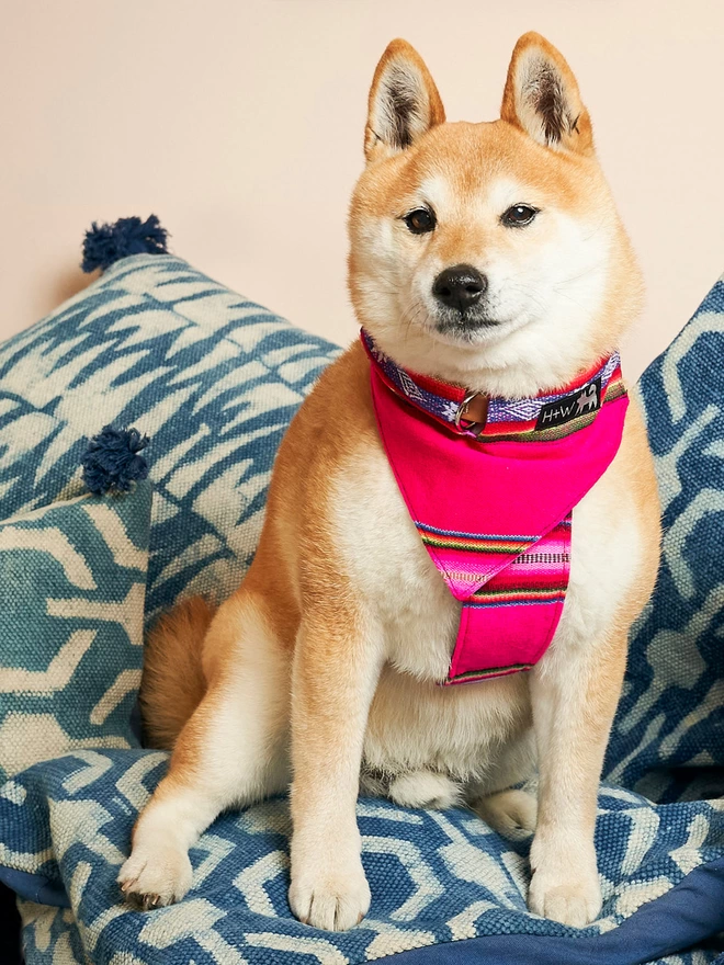 Inca Pink Dog bandana Hiro + Wolf
