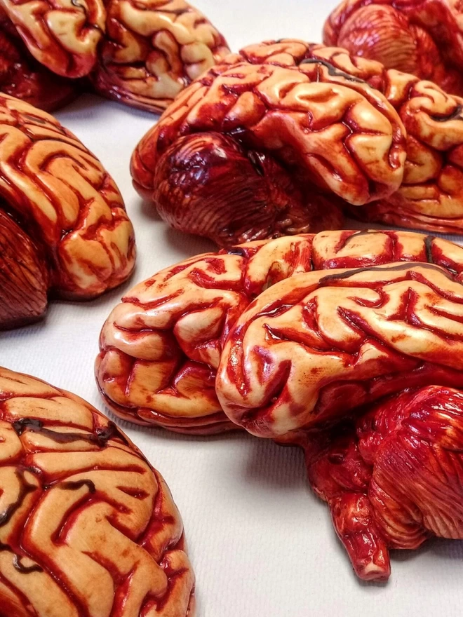 Realistic edible chocolate human brains on white background