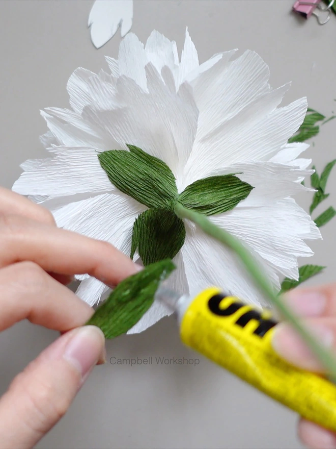 Crepe Paper Double Peony DIY Kit