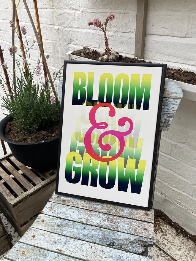 Framed multicoloured typographic print of “Bloom & Grow” The print sits on an ageing garden chair in front of a few plants.