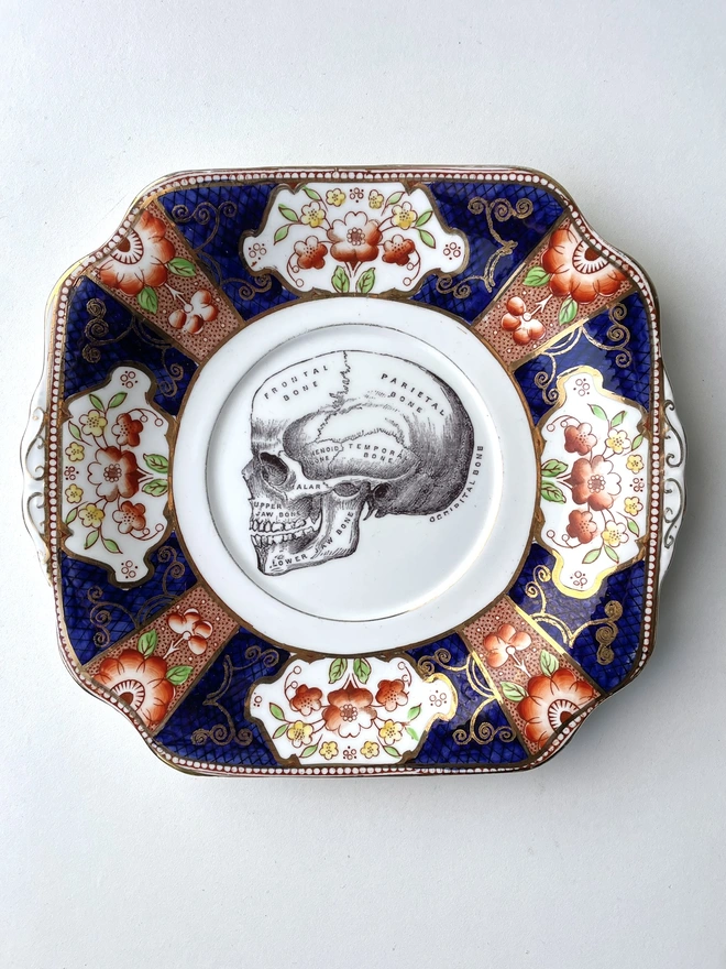 an ornate vintage china plate a pretty border and in teh centre is a vintage victorian illustration of an anatomical skull