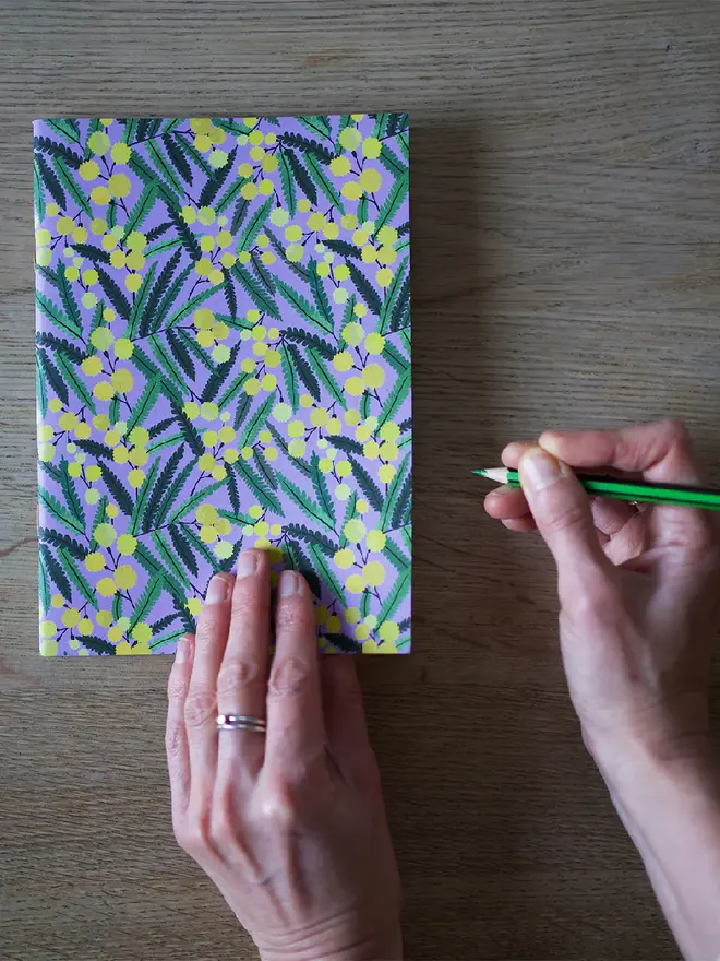 illustrated mimosa notebook