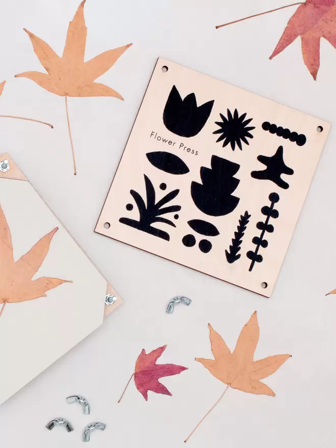 Flat lay of flower press and pressed tree leaves.