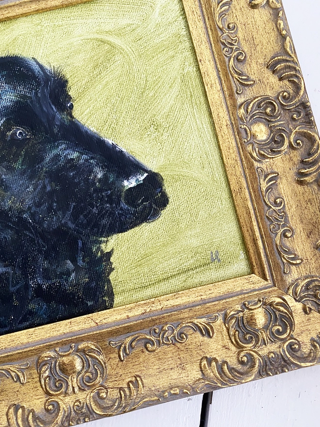 detail of framed portrait of pet dog with black shiny nose and gold frame