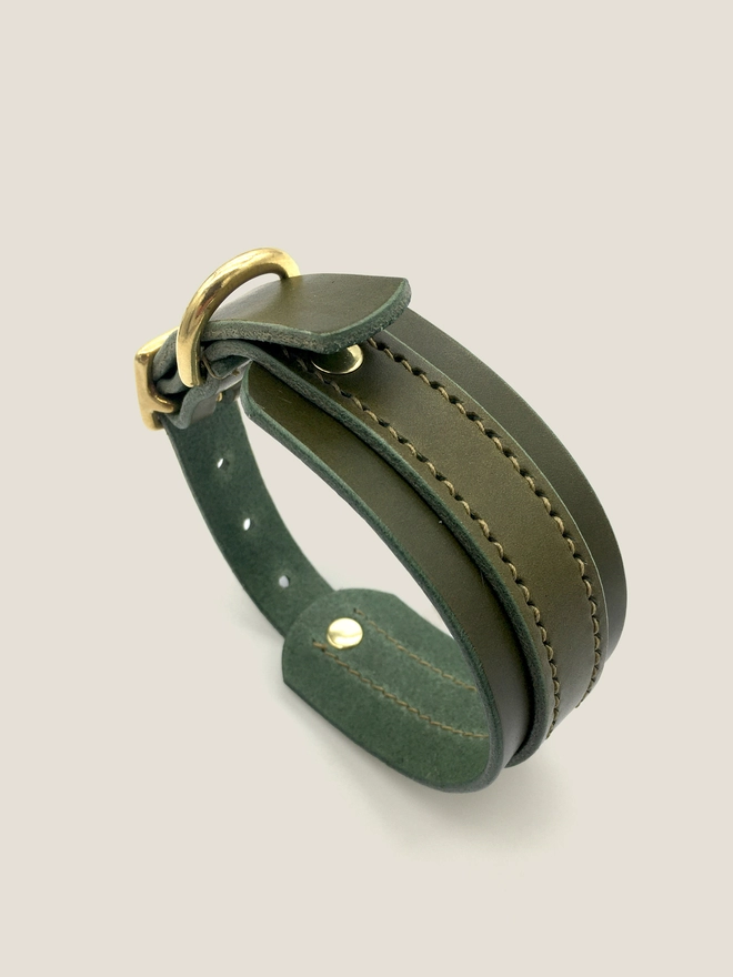 Close Up Of Olive Sighthound Collar