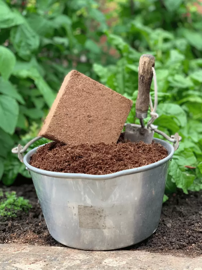 peat-free compost in bucket with trowel in garden