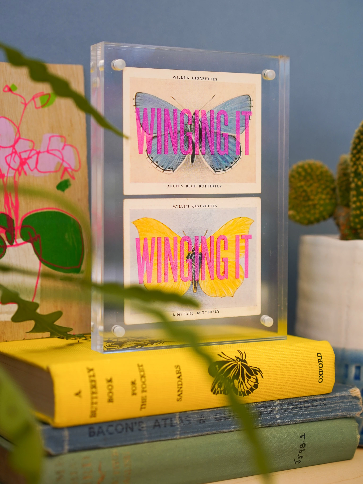 Photograph of 2 screen printed cigarette cards in a perspex frame. Funky bright interiors.