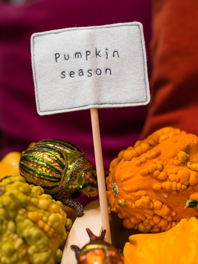 Pumpkin Season embroidered sign seen in a group of pumpkins