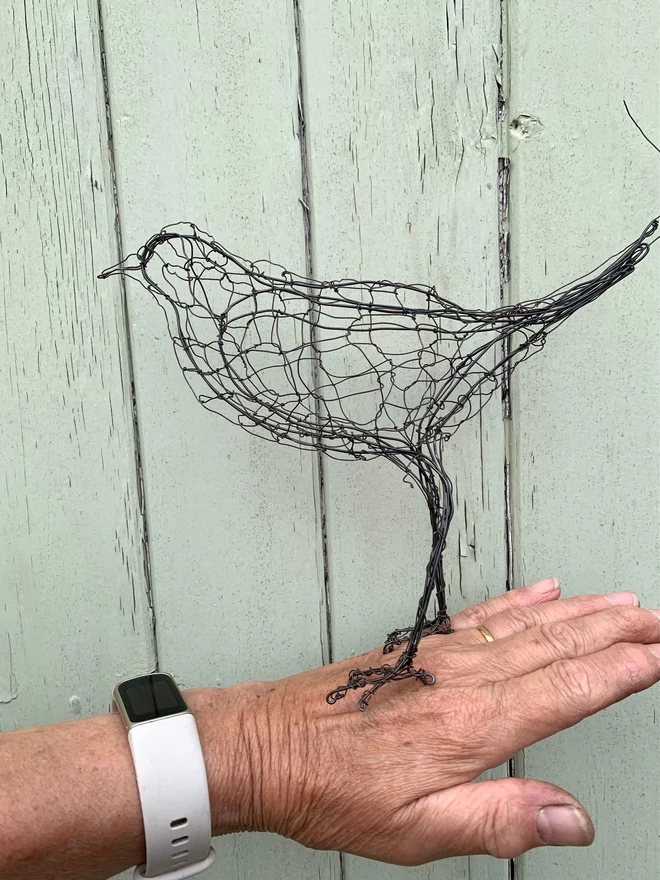 A three dimensional wire sketch of a Blackbird