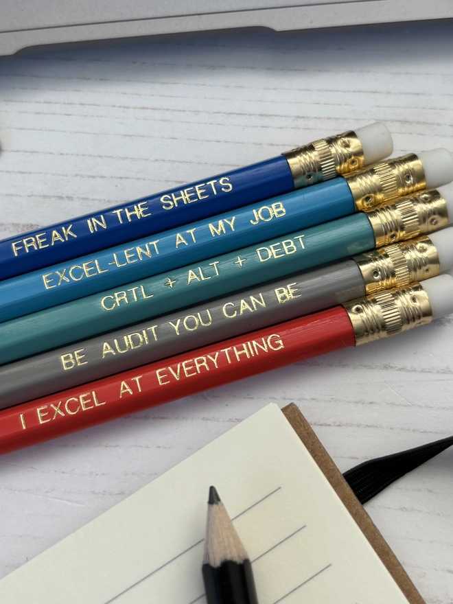 Spreadsheet Themed Pencil Set (Set of 5)