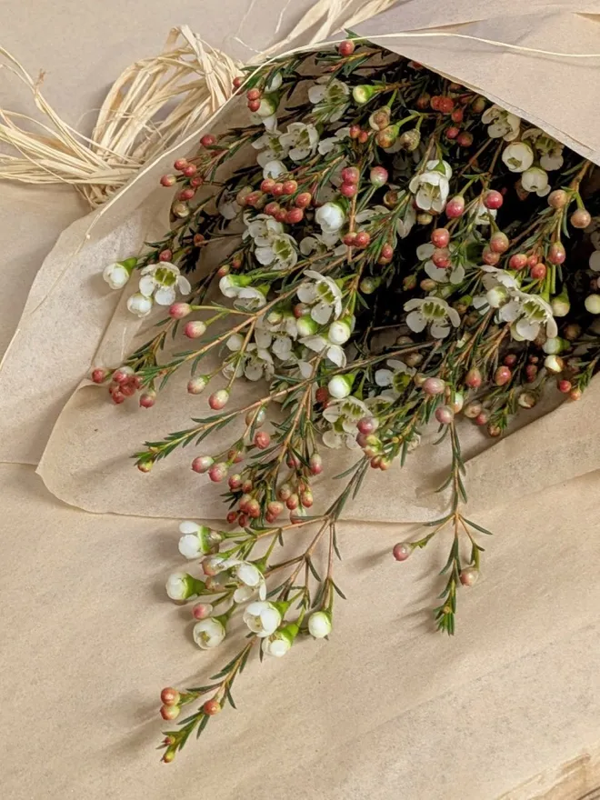 white wax flowers wrapped in tissue paper