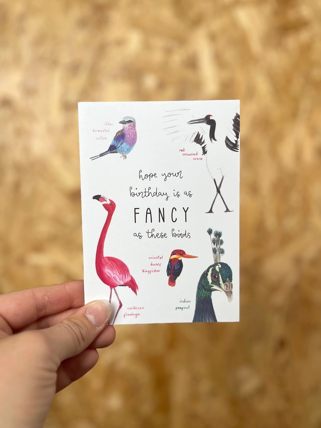 greetings card featuring five colourful or extravagant looking birds around the phrase “hope your birthday is as fancy as these birds”