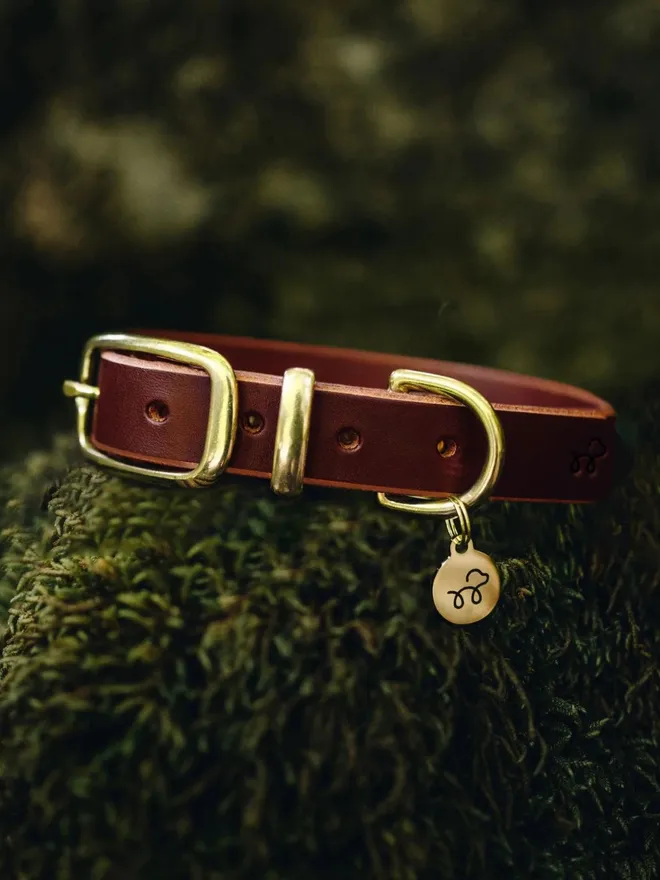 Leather Dog Collar