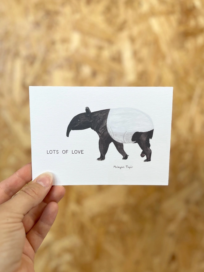  a greetings card featuring an illustration of a tapir with the text “lots of love”