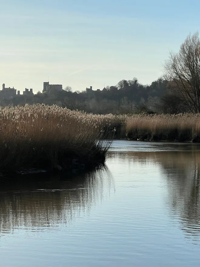 The River Arun