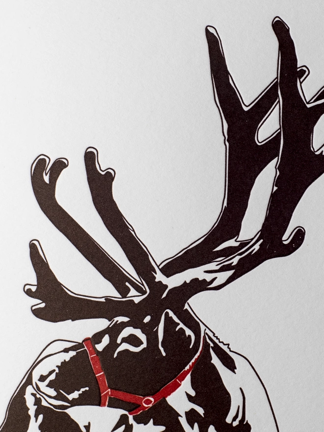 Detail showing this adorable Reindeer
