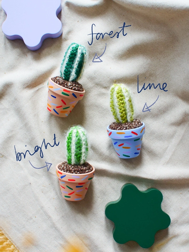 crochet cactus in hand painted pot