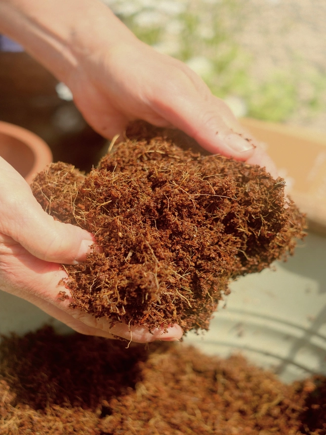 hydrated peat-free coir compost