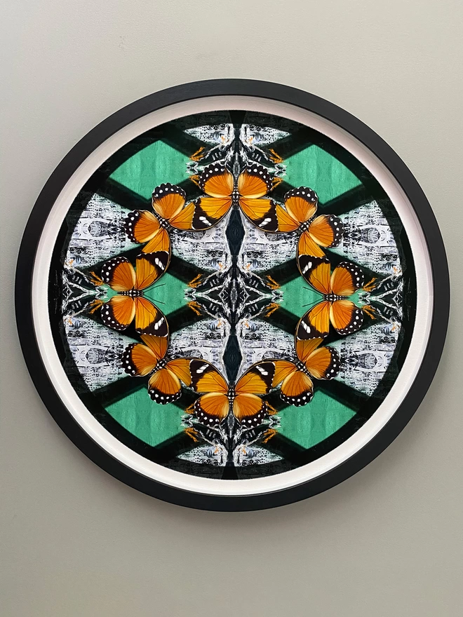 Circular frame on wall with butterfly and urban art by Evi Antonio