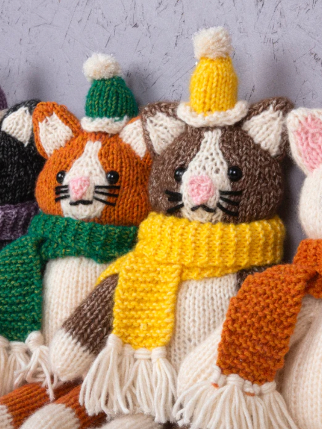 Cat in Knitwear Knitting Kit. A group of cats in various colours of fur and knitwear.