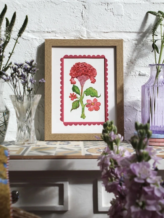 Celosia Cristata Print