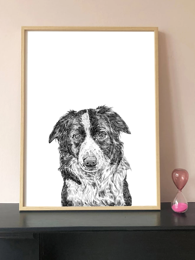 Art print of a hand drawn portrait of a border collie dog displayed in a frame