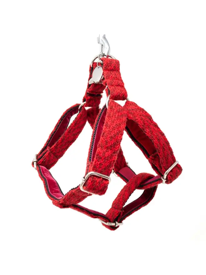 red dog harness hanging on white background