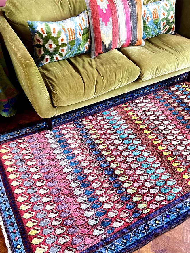 Bright hand knotted colourful soft cotton vintage rug in colourful living room