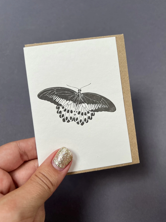 The Mormon butterfly on the small card that is in the butterflies gift box